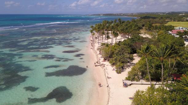 istock white sand beach in Guadeloupe 1311059680