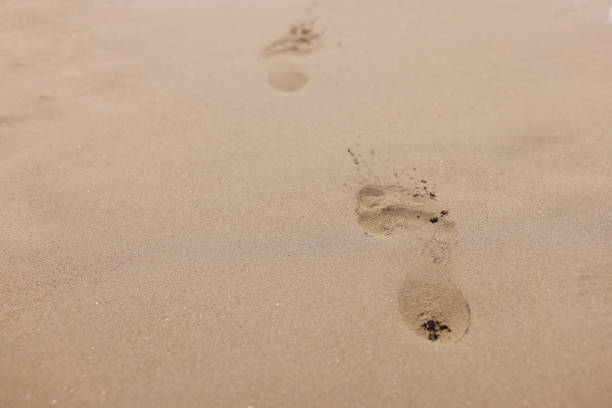 istock Closeup of footprints from bare feet on sand 1311060961