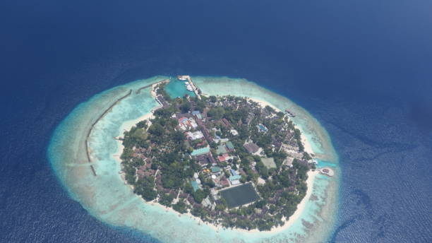 istock Isolated Island in the Maldives 1311061699