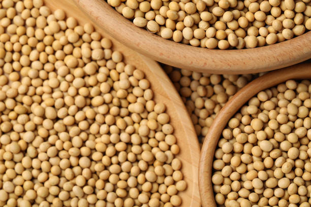 istock Natural soy beans in bowls as background, top view 1311062488
