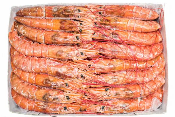 istock Large frozen langoustine prawns in a package 1311062648