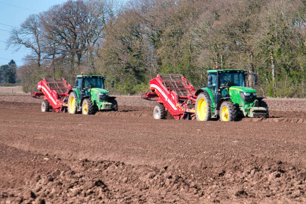 deux tracteurs john deere remorquent des séparateurs grimme cs150, enlevant des pierres et d’autres matériaux des lits de plantation de pommes de terre sur un champ sillonné par une journée ensoleillée au printemps au royaume-uni. - tractor farm uk agriculture photos et images de collection