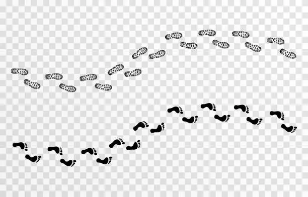 Vector illustration of Set of vector tracks. Traces from shoes, from bare feet, heel. Human trails on an isolated transparent background.