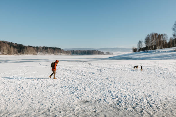 istock Man walking on the frozen lake 1311066662