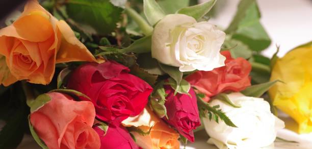 istock Colourful bouquet of roses 1311069254