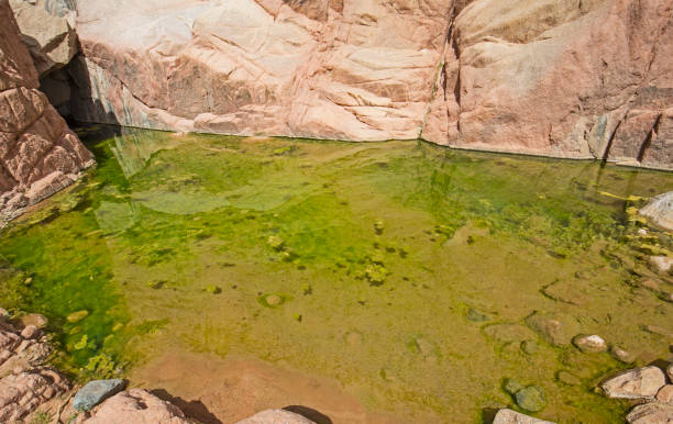 istock Freshwater pool in a mountain canyon 1311069987