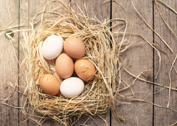 istock Organic eggs in nest on wooden background. 1311070005