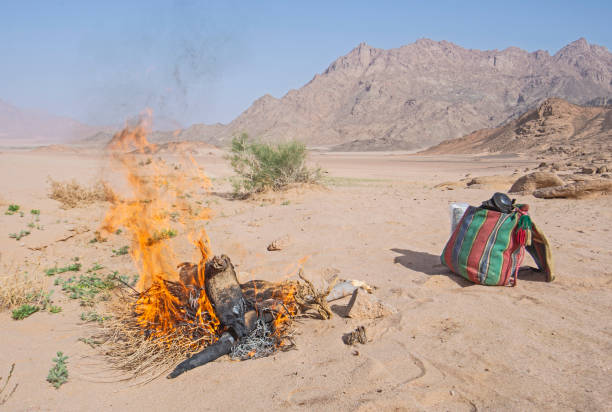 istock Barren desert landscape in hot climate 1311070253