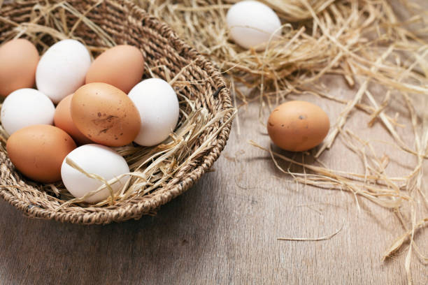 istock Organic eggs in nest on wooden background. 1311070986