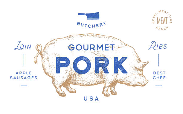 돼지, 돼지. 템플릿 레이블입니다. 빈티지 레트로 프린트 - pig piglet butcher ranch stock illustrations
