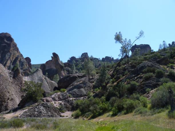 istock Rock formations: Pinnacles National Park, California, USA 1311071895