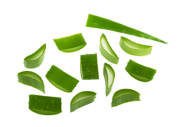 istock Aloe vera sliced plant isolated with clipping path 1311073712