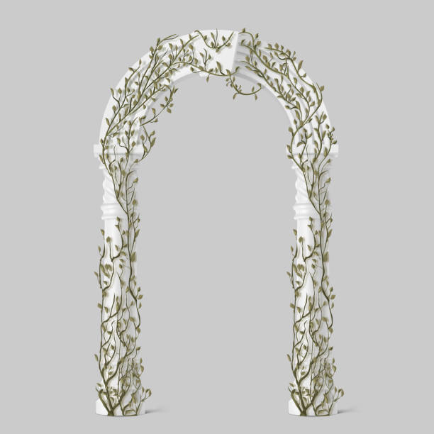 illustrazioni stock, clip art, cartoni animati e icone di tendenza di edera su arco marmoreo, viti con foglie verdi sull'arco - natural column