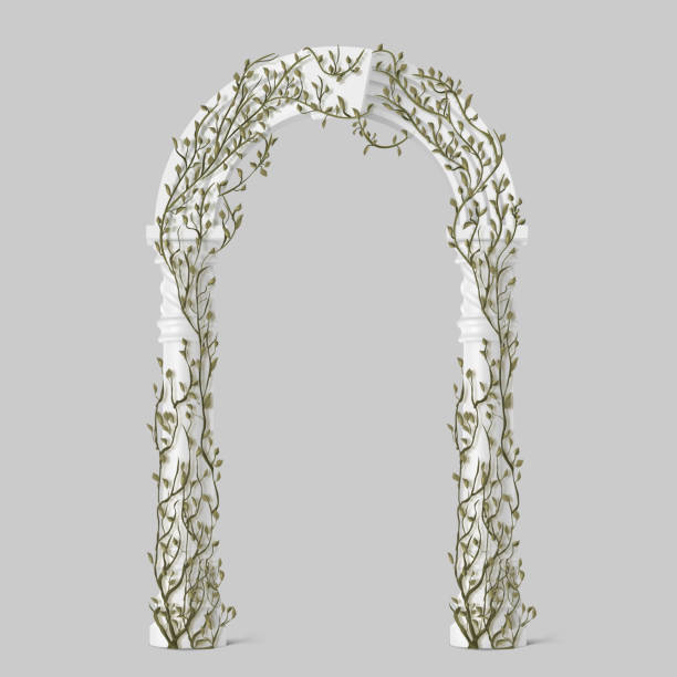 Ivy on marble arch, vines with green leaves on arc Ivy on marble arch, vines with green leaves climbing on white antique stone archway, creeper plant isolated on grey background, decorative architecture arc design, Realistic 3d vector illustration arch architectural feature stock illustrations