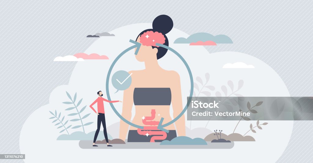 Gut brain connection and mental body digestive regulation tiny person concept Gut brain connection and mental body digestive system regulation tiny person concept. Organ interaction and cooperation for human body regulation vector illustration. Emotion balance for bowel health. Intestine stock vector