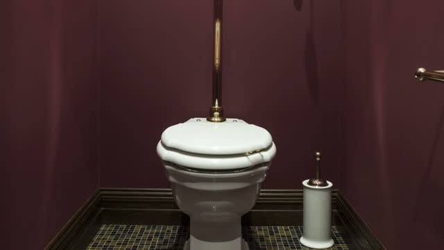 old-fashioned toilet with cistern