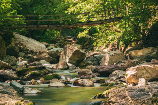 istock old wooden bridge over a mountain river among stones and trees 1311076358