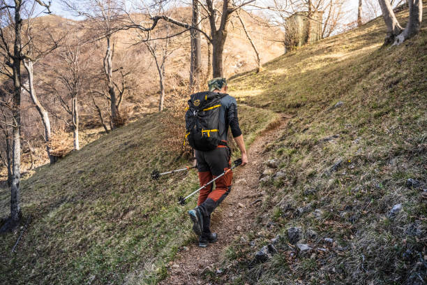 istock Hiker walking on the trail in the forest 1311076403