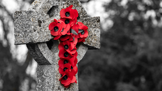 A wreath of poppies hung on a gravestone cross for remembrance, image desaturated to highlight the poppies