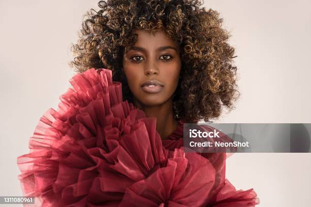 Beauty Portrait Of Afro Woman Girl Looking At Camera Stock Photo - Download Image Now