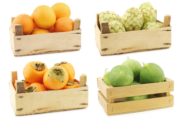 istock fresh oranges, cherimoya fruit  (Annona cherimola), kaki fruit and cumelo's (mix between a cucumber and a melon) 1311081910