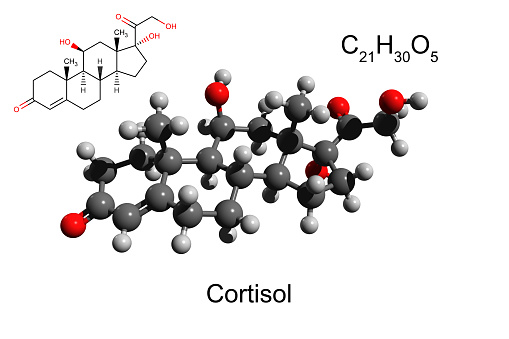 Cortisol is a steroid hormone, in the glucocorticoid class of hormones. When used as a medication, it is known as hydrocortisone. It is produced in many animals, mainly by the zona fasciculata of the adrenal cortex in the adrenal gland.
