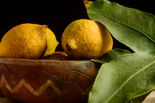 istock Lemon .La Pampa Argentina 1311087319