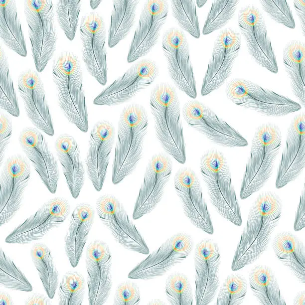 Vector illustration of Peacock Feather Seamless Pattern