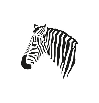 Free download of zebra head vector graphics and illustrations