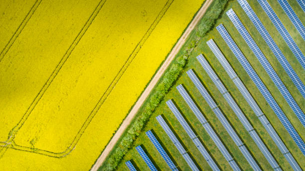 istock Canola fields and solar power plant in springtime - aerial view 1311092445