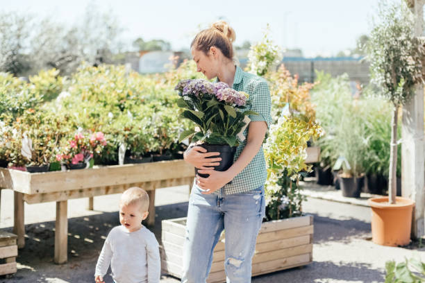 istock Mother with son buys hydrangea in a pot at a flower shop 1311093234