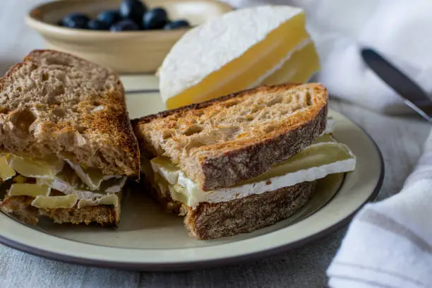 german traditional sandwich with sour milk cheese known as harzer roller served on a plate