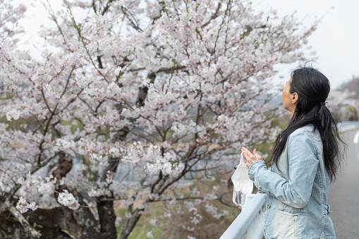 Japanese woman smiling behind mask while enjoying cherry Blossoms