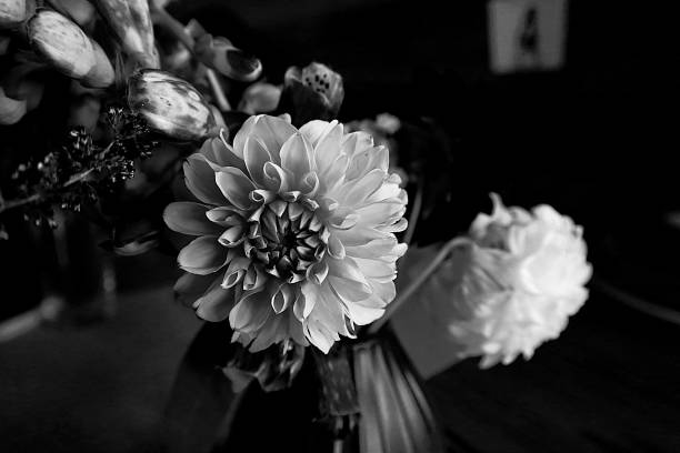istock Black and White Macro Photography 1311095236