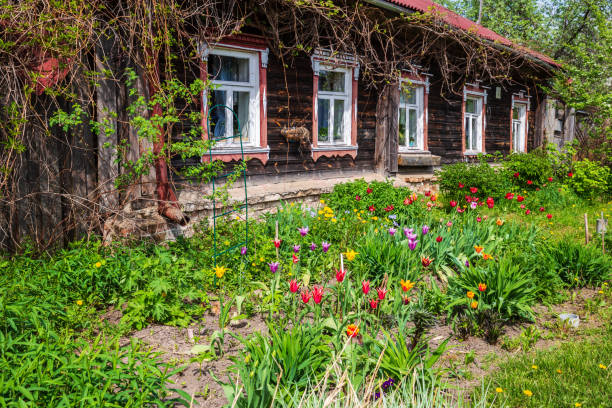 istock Rustic russian wooden house 1311095772