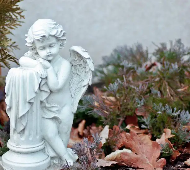 Photo of White Angel on Tomb