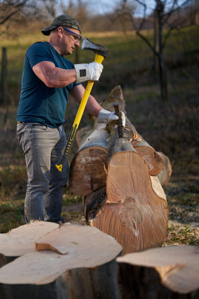 istock Lumberjack hammering a wedge into a log 1311097816