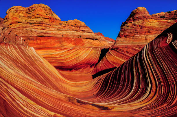 A swirling sandstone wonderland The Wave, Coyote Buttes North, Vermilion Cliffs National Monument, Arizona, USA coyote buttes stock pictures, royalty-free photos & images