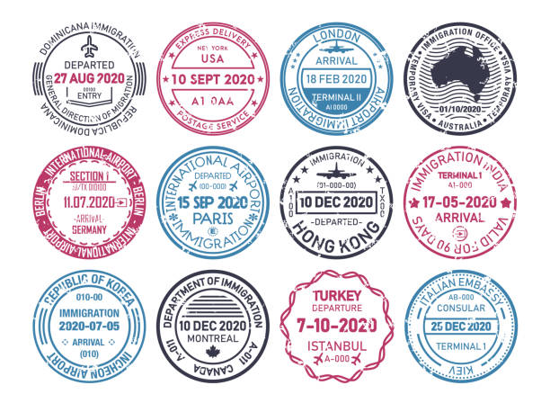 여권 비자 우표, 공항 출입국 관리 벡터 - passport passport stamp usa travel stock illustrations