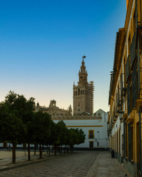 Observing the Giralda tower from the square stock photo