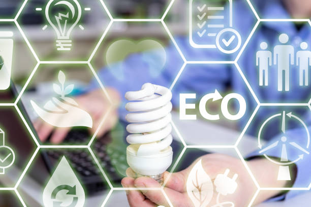 istock A light bulb in your hands and an ecology icon. 1311101289