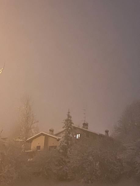 lights in the fog - fog tree purple winter imagens e fotografias de stock