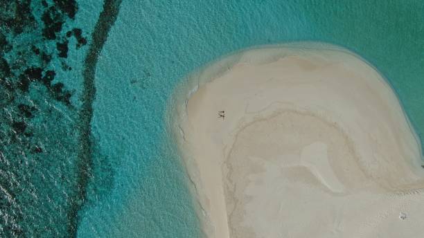 istock Sandbar in turquoise water 1311102259