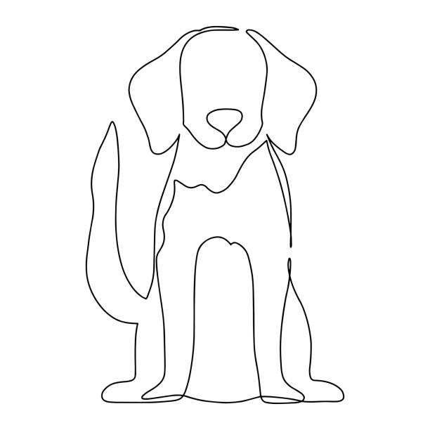 illustrations, cliparts, dessins animés et icônes de chiot mignon de retriever de labrador. crabot d’isolement sur le fond. illustration vectorielle de dessin. ligne continue dessinée à la main animal mignon. un style d’art de ligne. - un seul animal