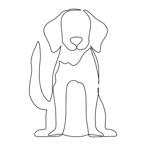 Cute labrador retriever puppy. Dog isolated on background. Vector drawing illustration. Hand drawn continuous line cute pet. One line art style. Cute labrador retriever puppy. Dog isolated on background. Vector drawing illustration. Hand drawn continuous line cute pet. One line art style. one animal stock illustrations
