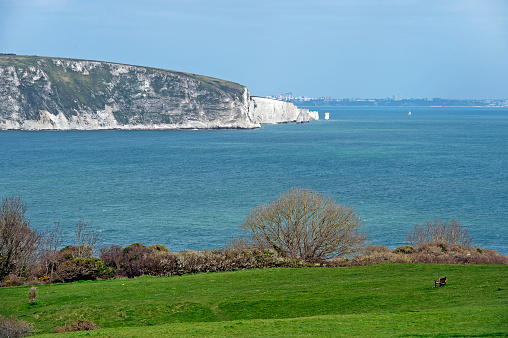 Old Harry Rocks across Swanage Bay in the Isle of Purbeck along the Jurassic Coast in Dorset, England