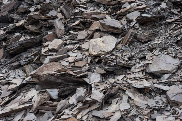 istock texture of chero gray rocks granite stone 1311111108
