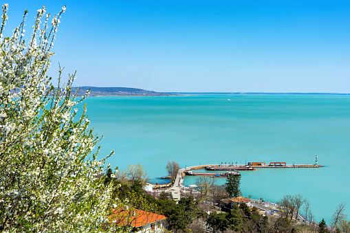 View from the Tihany abbey at the Balaton lake about tihany pier springtime with blooming tree .