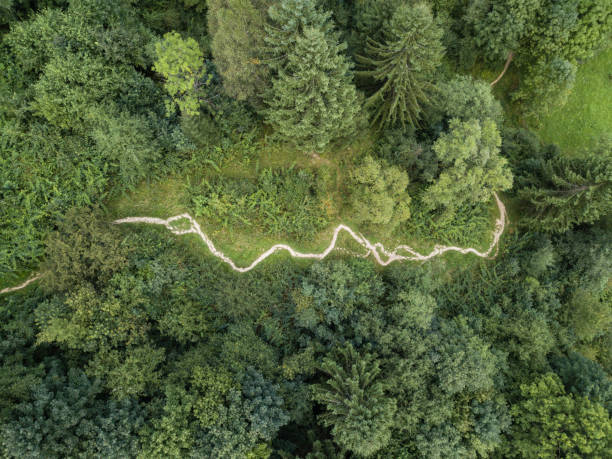 istock Dirt track through mountains and forest captured from above 1311112715