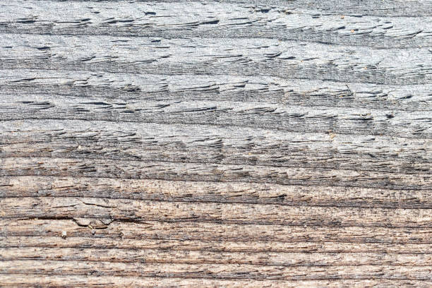 старые серые и коричневые песчаные выветриваемые вымытые испорченные текстуры дерева с горизонтальными трещинами однолетние кольца и зер - dry river textured effect dirt стоковые фото и изображения